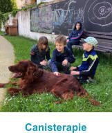Canisterapie