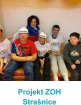 Projekt ZOH Stra�nice